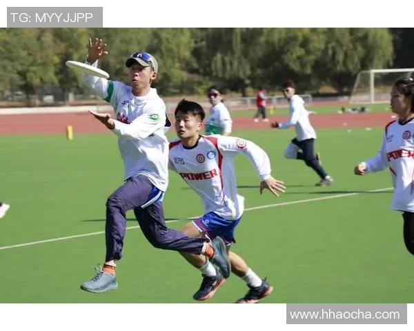 北京飞盘队实力对比深度解析与其他队伍的竞争优势分析