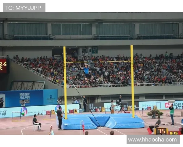 上海网球队在钻石联赛中以82分稳居榜首展现强劲实力